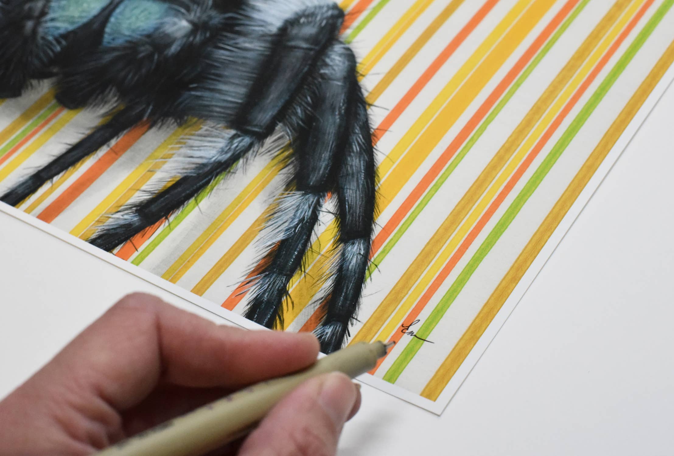 Jumping Spider - Fine Art Print presents a delightful insect illustration that’s both spooky and amusing, an artwork for the adventurous!