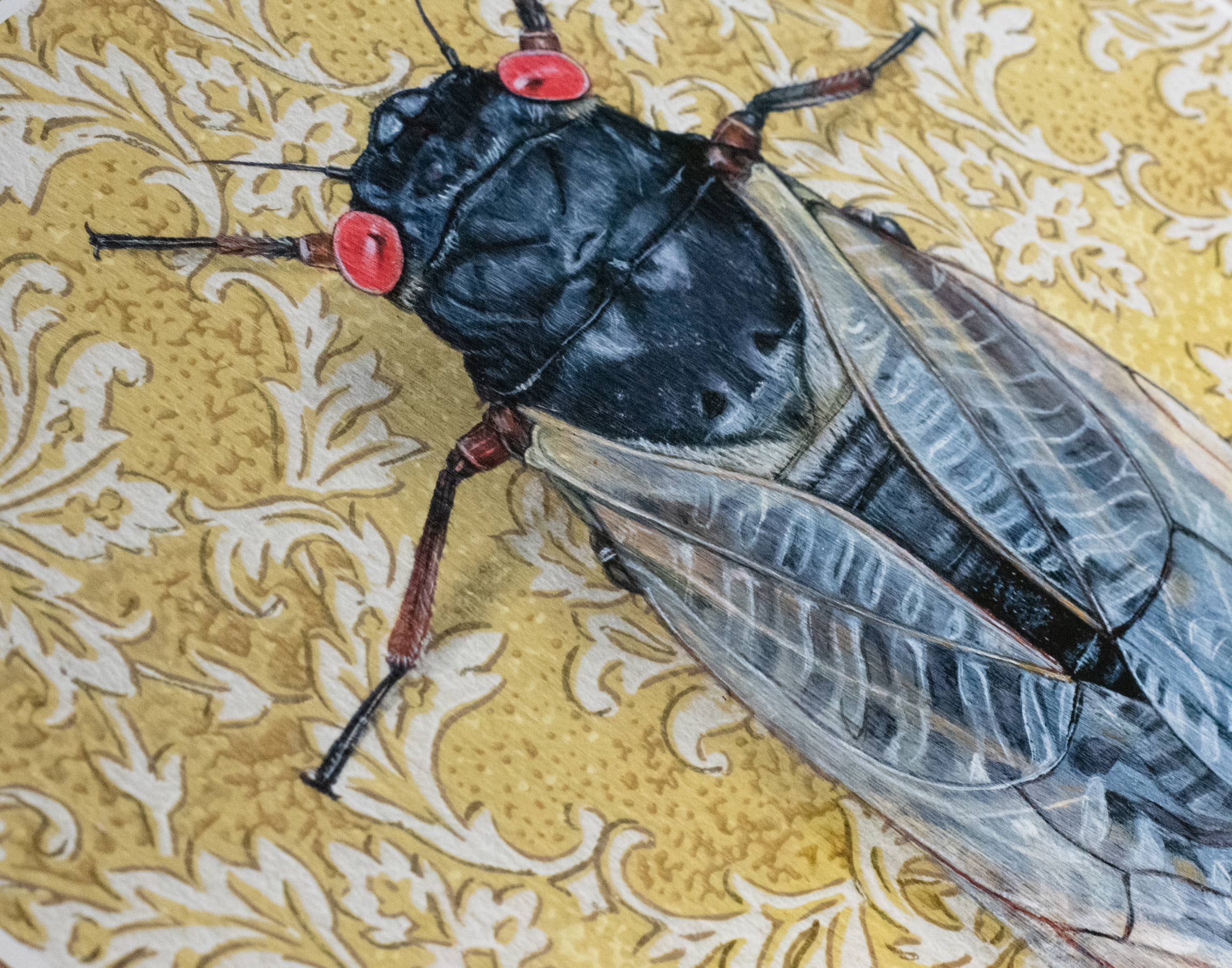 Wild Wallflowers | 17 Year Cicada Yellow