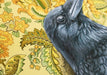 Framed art print of a raven on a floral background