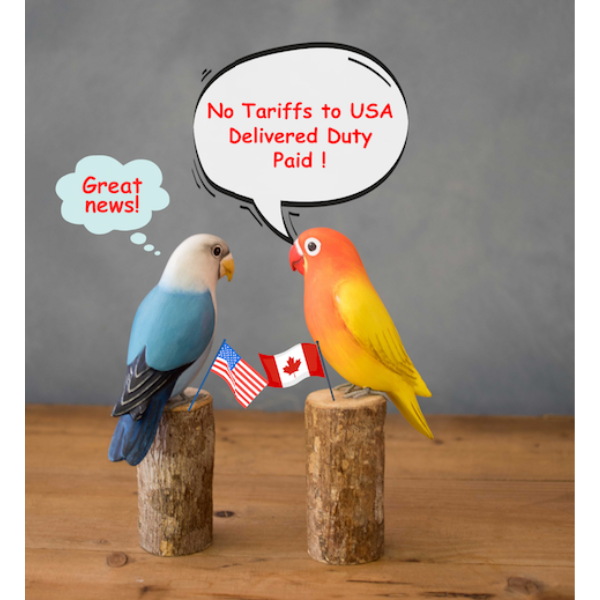 Colorful bird figurines representing a blue budgerigar and a yellow cockatiel by Aviologie, emphasizing no tariffs to USA, creatively displayed on wooden bases.