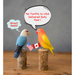 Colorful hand carved bird figurines, featuring a Blue Jay by Aviologie, promoting no tariffs to the USA with Canada and USA flags.