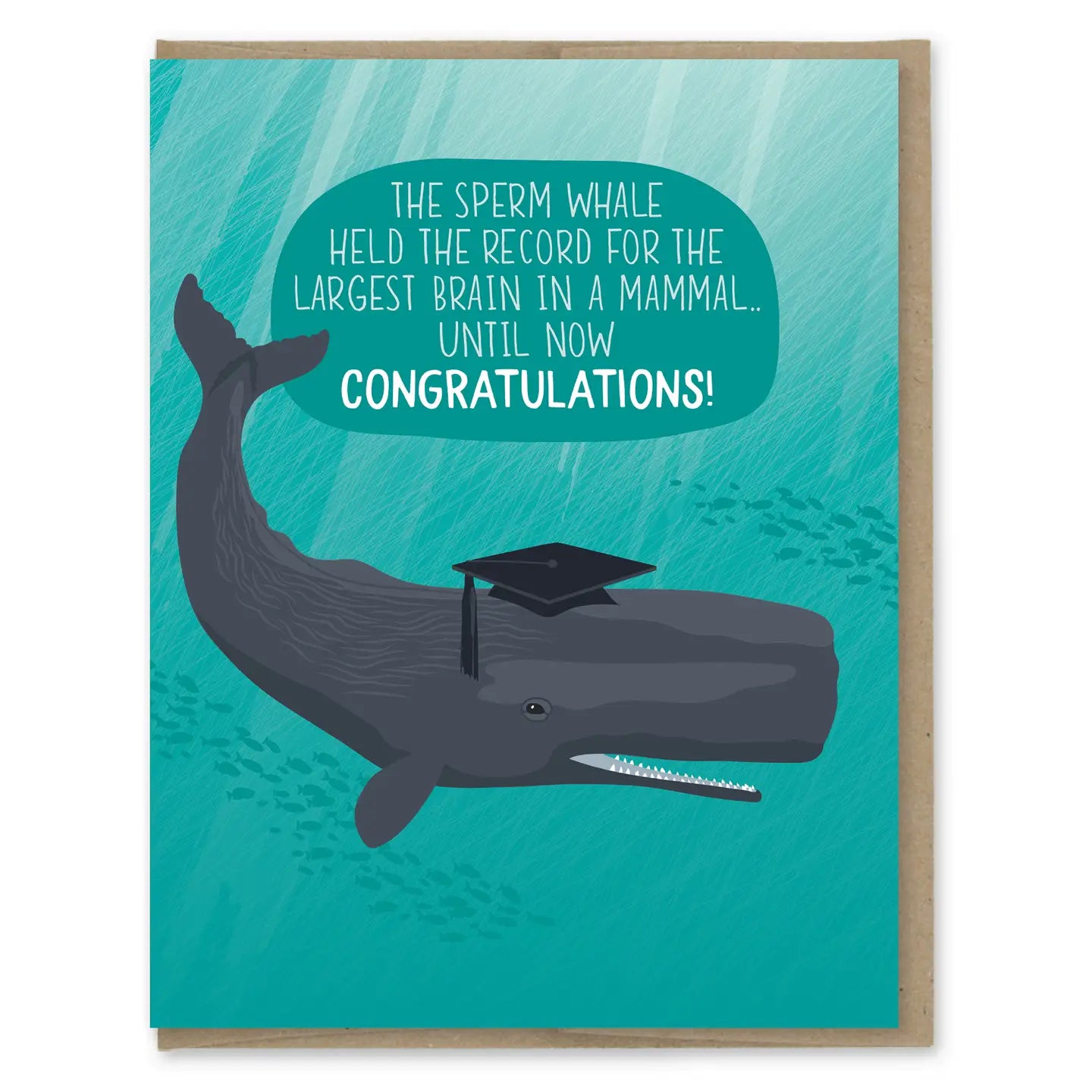 Graduation Card Collection showcasing fun and witty messages perfect for congratulating your star graduate!
