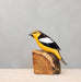 painted yellow bird on wood stump