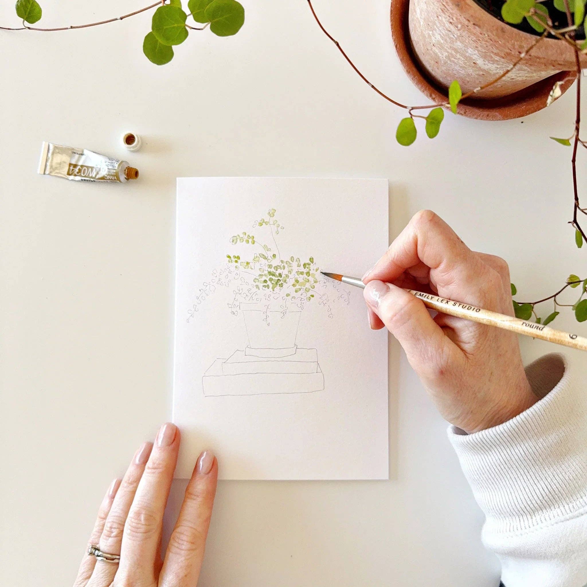 Potted plants paintable watercolor notecard set