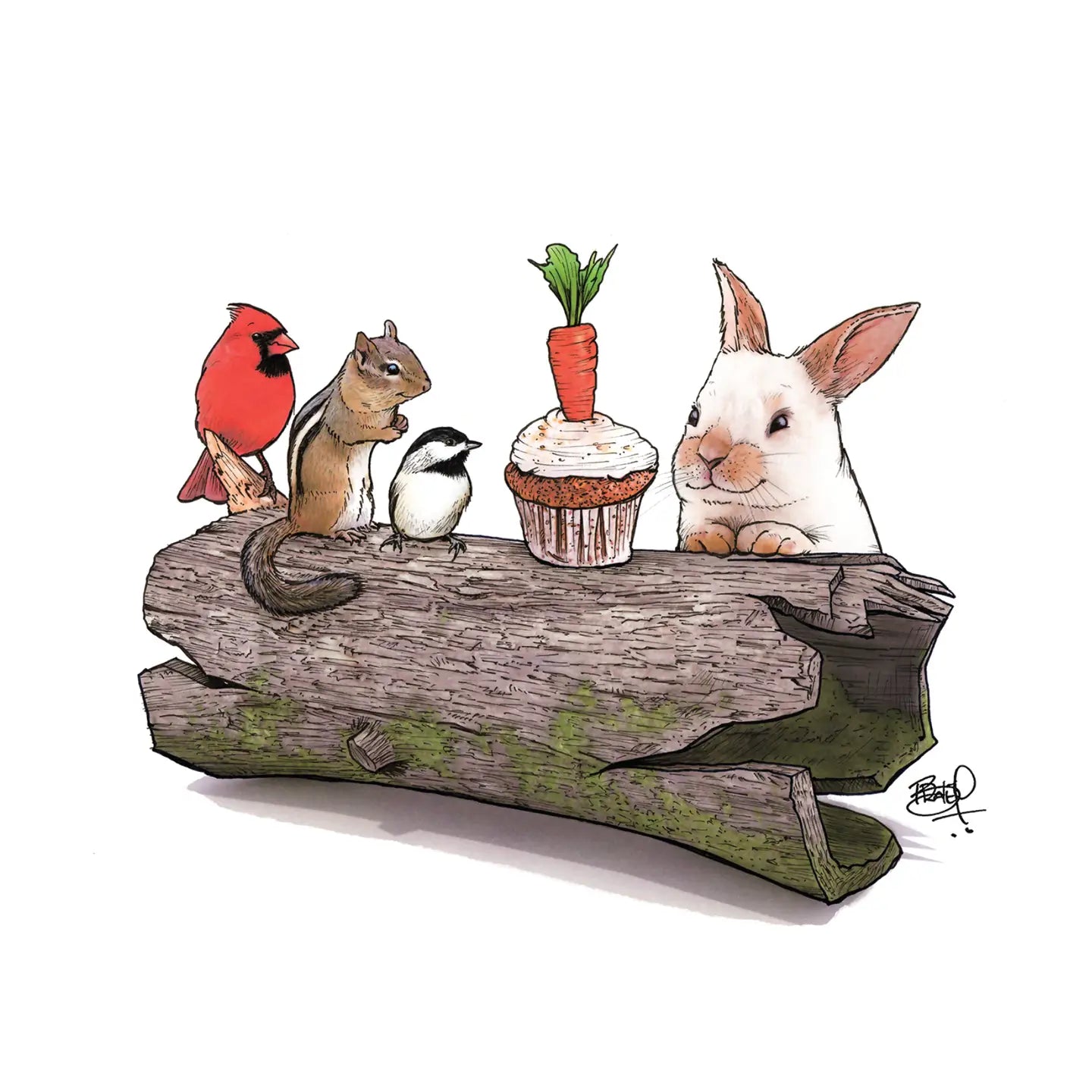 Shawn Braley Card Collection