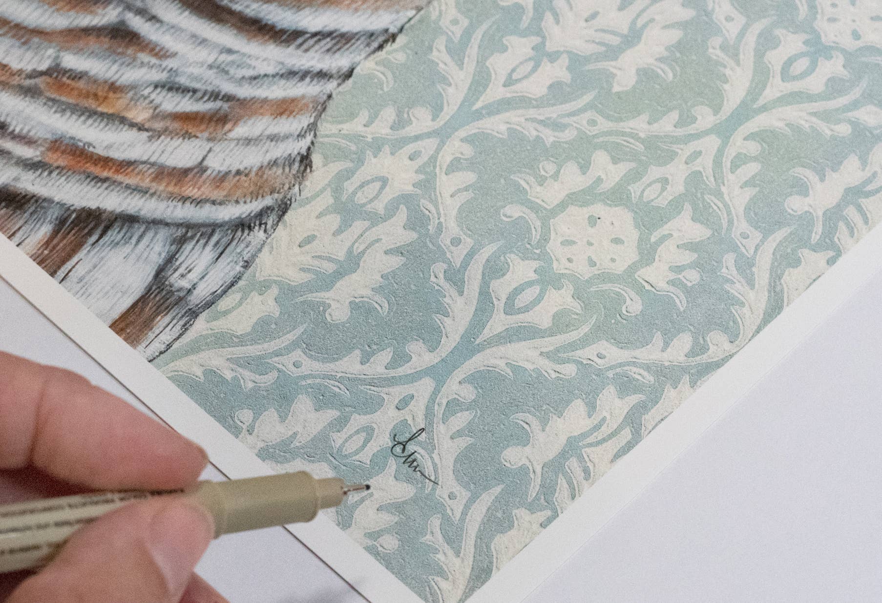 Framed Barred Owl with Light Blue wallpaper signed original