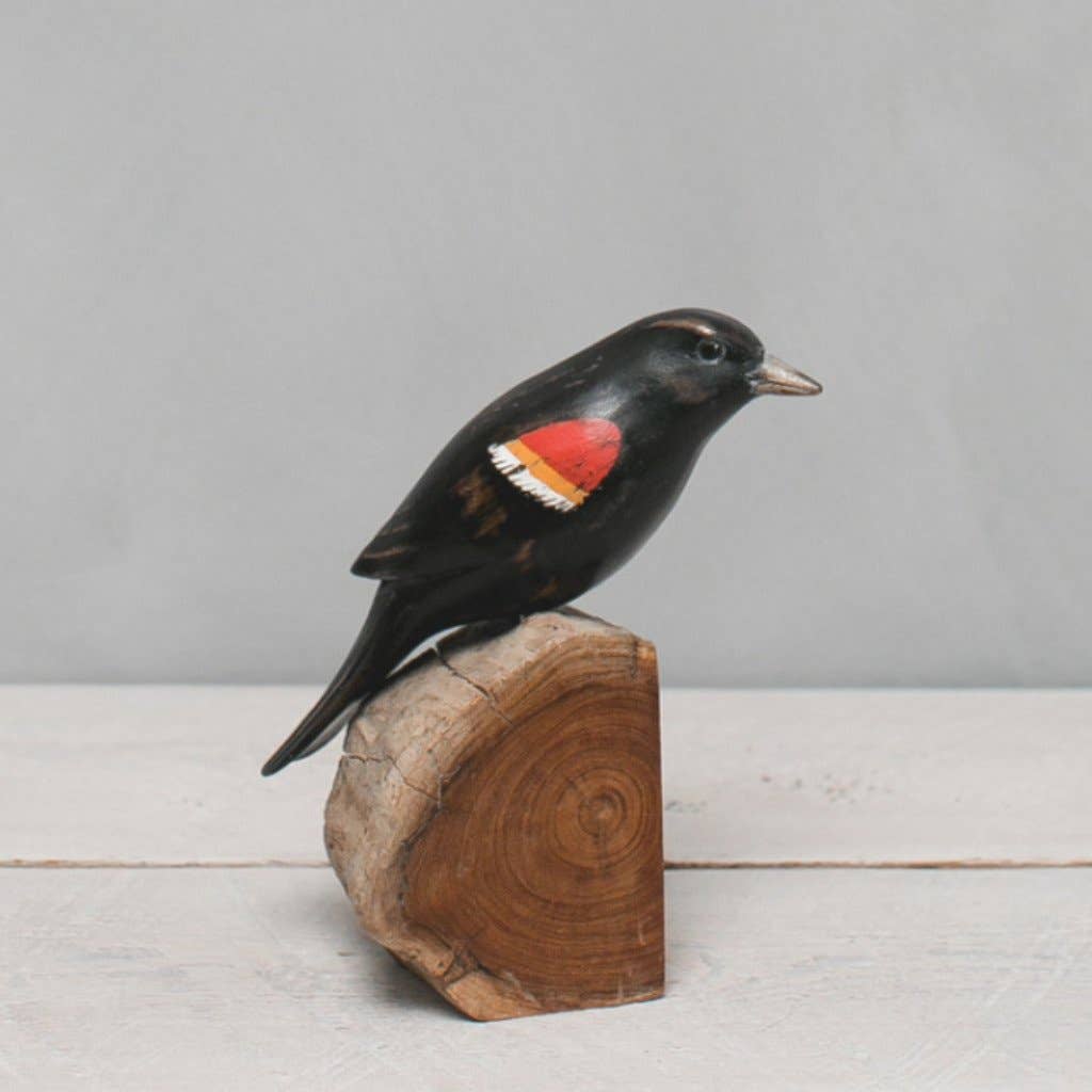 Blackbird Red-Wing