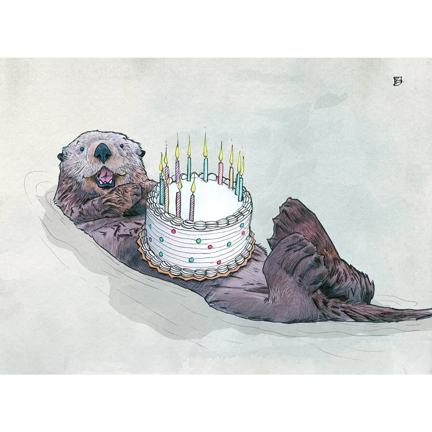 Shawn Braley Card Collection