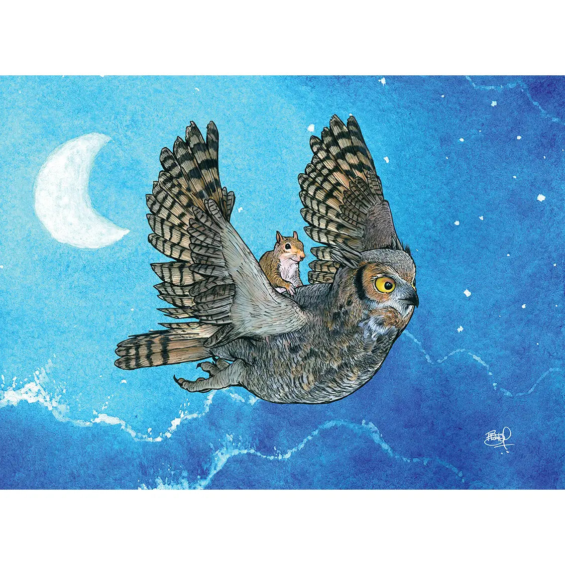 Shawn Braley Card Collection