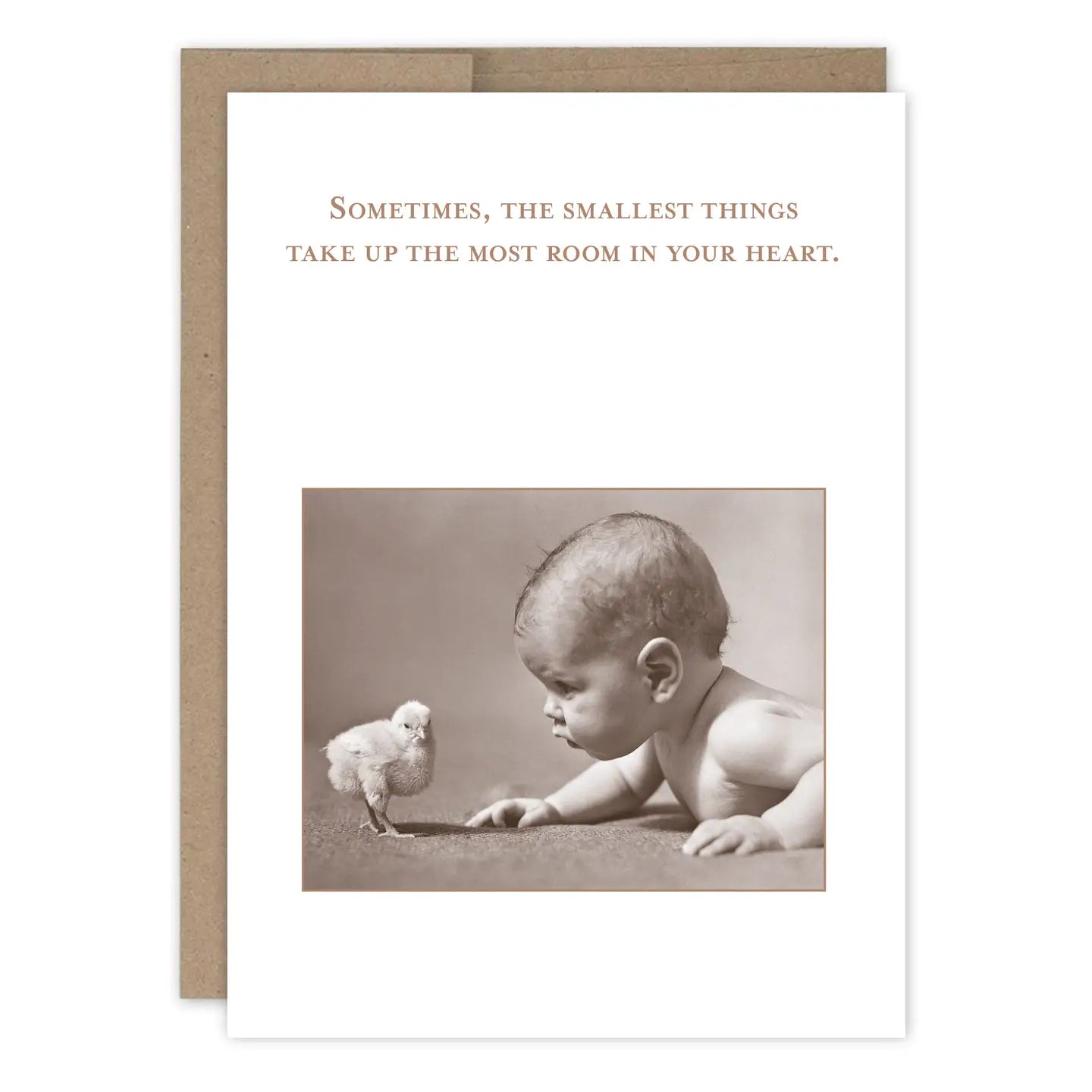 Shannon Martin Everyday Card Collection