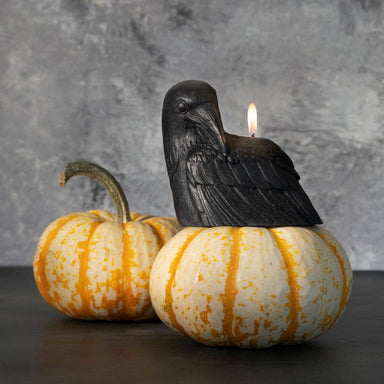 Black crow candle in a pumpkin