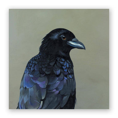 Portrait of black bird with blueish-purple wings on a wood background