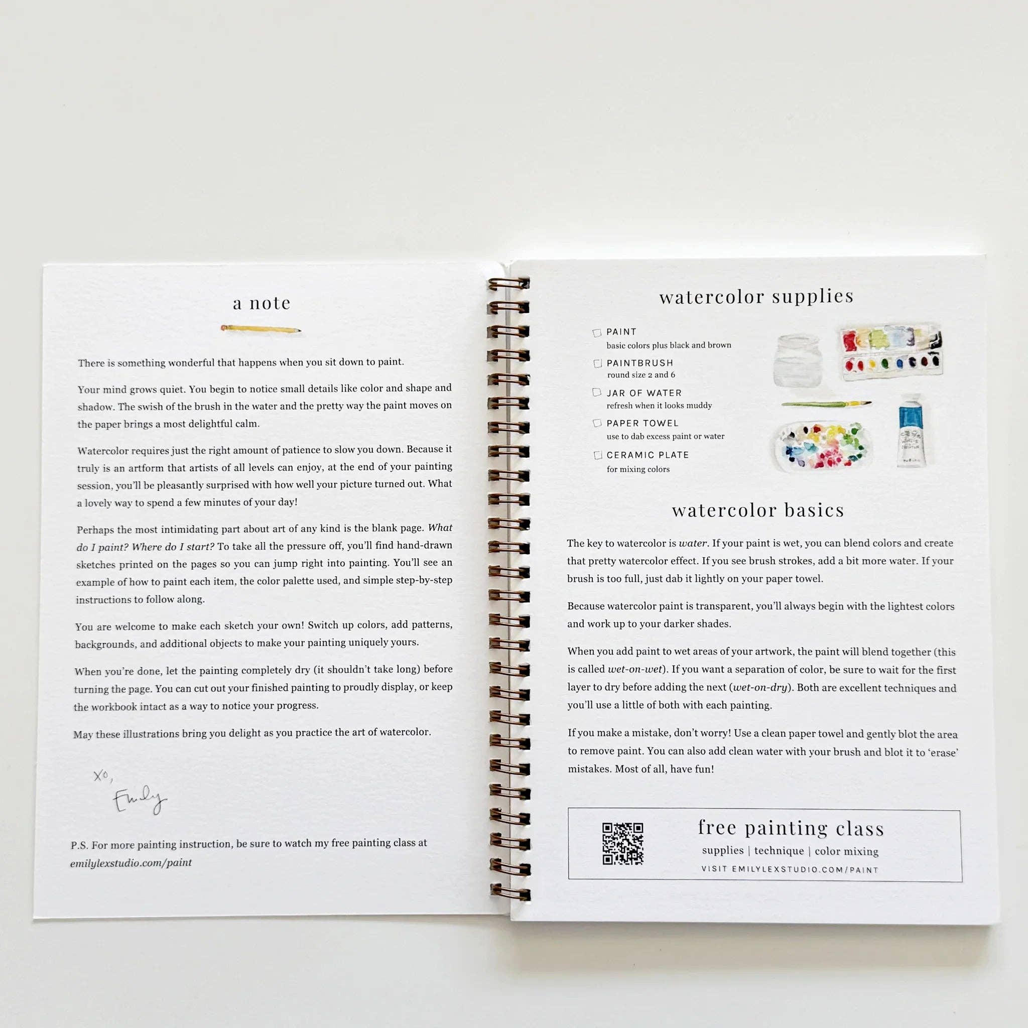 Colorful finished watercolors from the Fruit watercolor workbook, displaying artistic painting results.