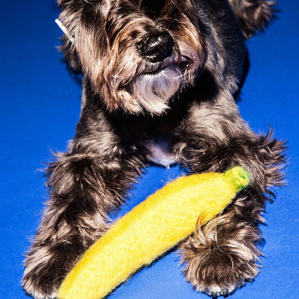 Boiled Wool Banana Dog Toy