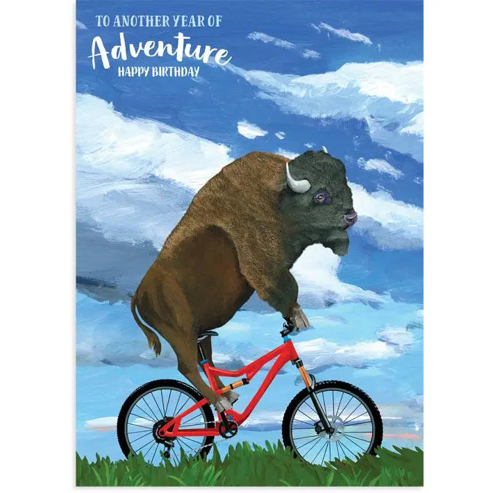 To another year of Adventure Happy Birthday blank greeting card