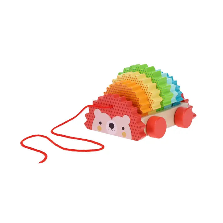 rainbow hedgehog Wooden Pull Toy from Petit Collage