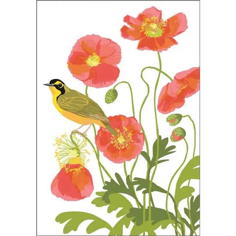 Rigel Stuhmiller Card Collection