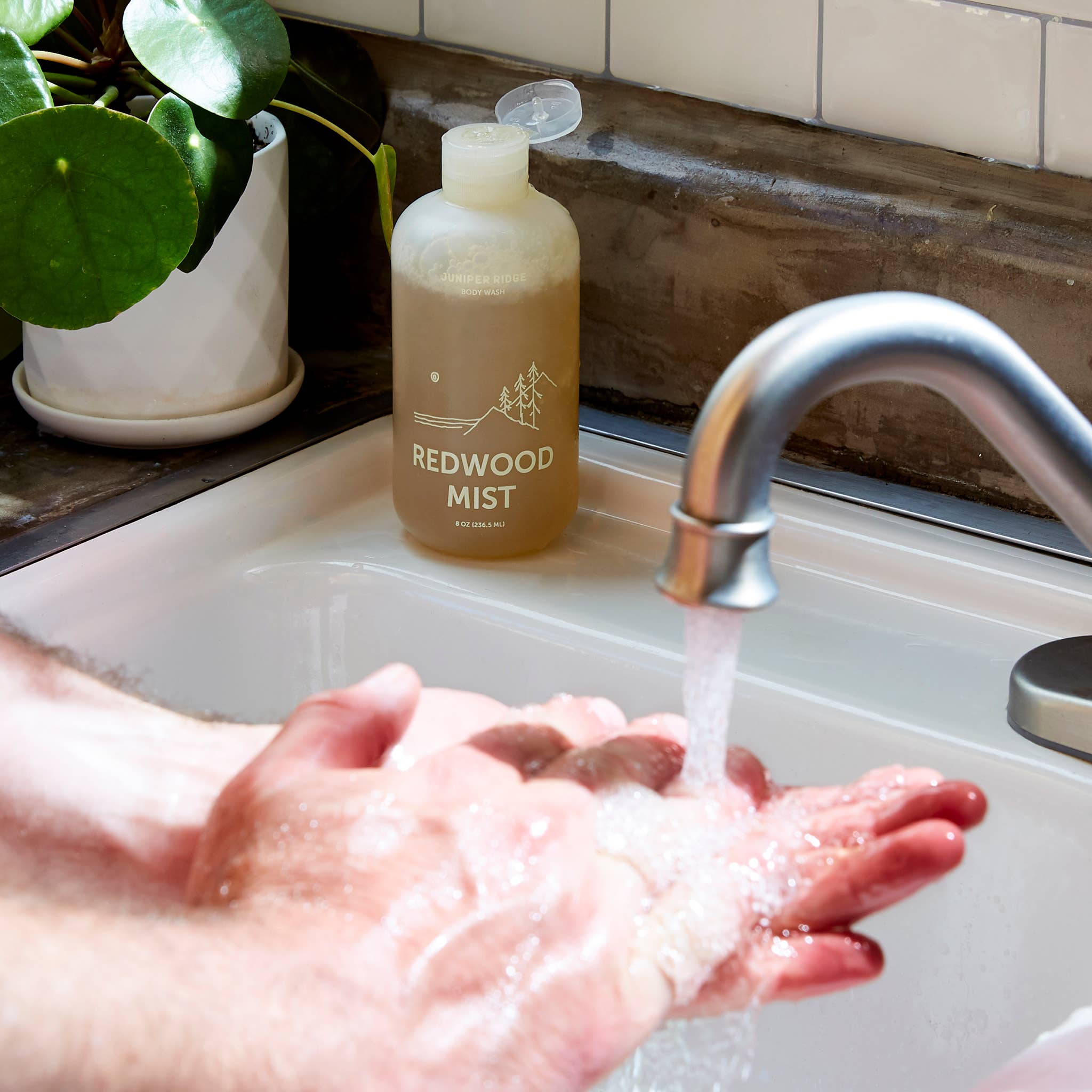 Body Wash | Redwood Mist (8oz)