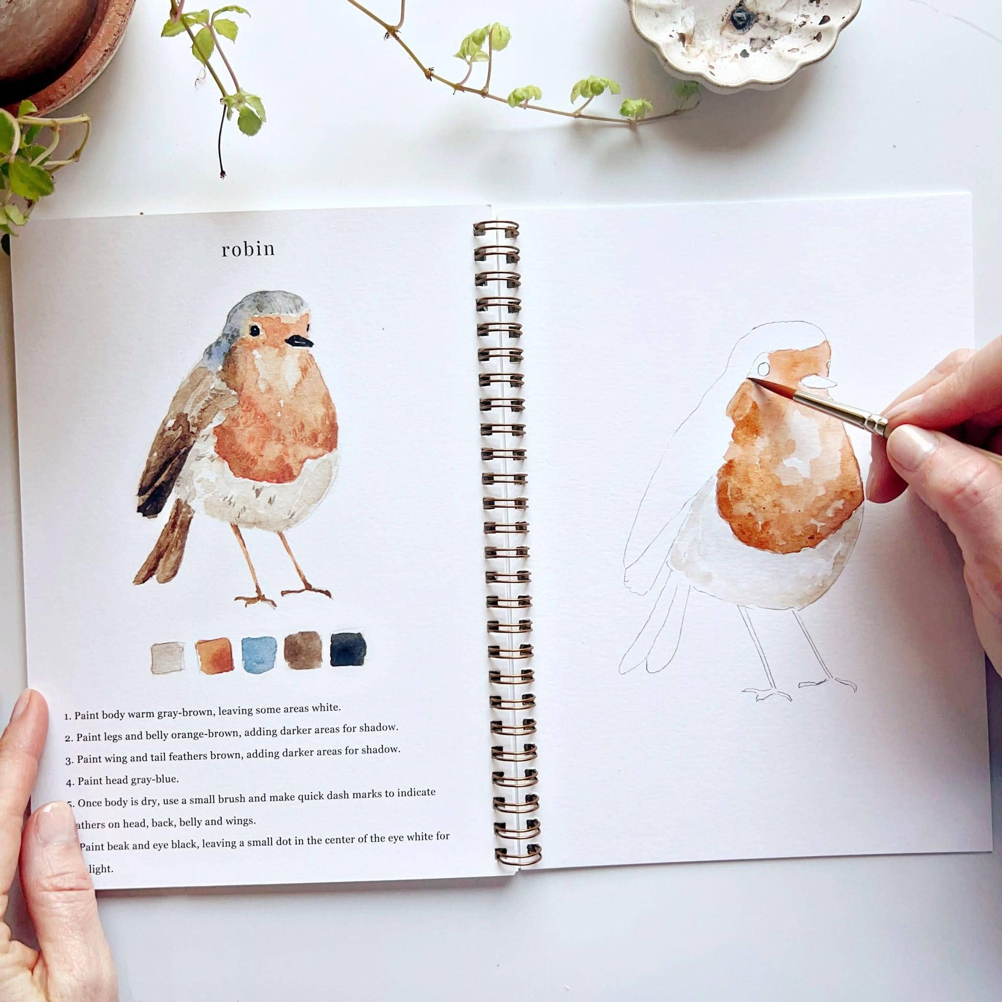 A page from the Birds Watercolor Workbook displaying simple outlined sketches of birds ready to be painted by aspiring artists.