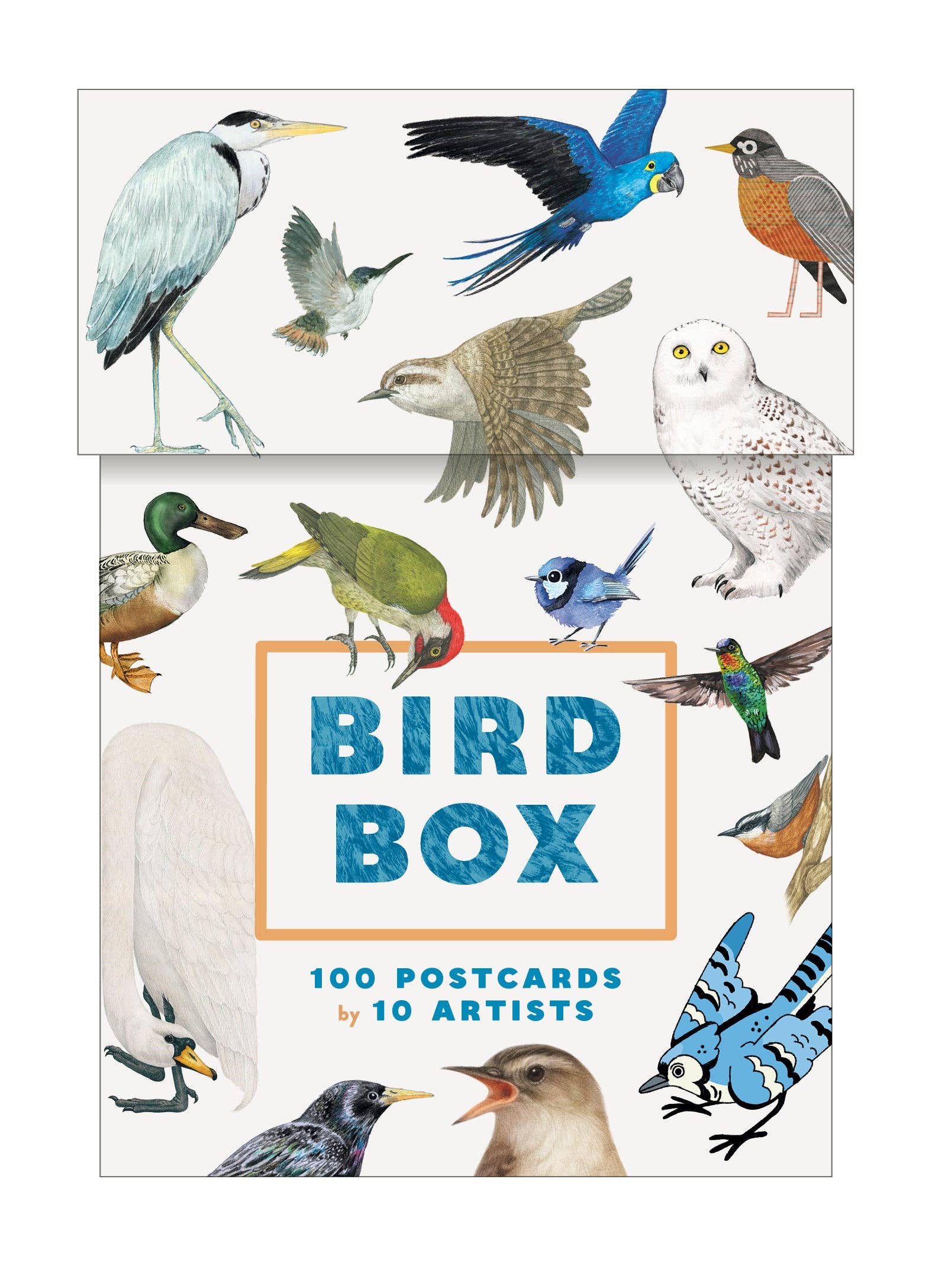 Bird Box | 100 Postcards by 10 Artists featuring various bird illustrations, published by Chronicle Books. The image displays the beautifully designed postcard box adorned with artistic renderings of different bird species.