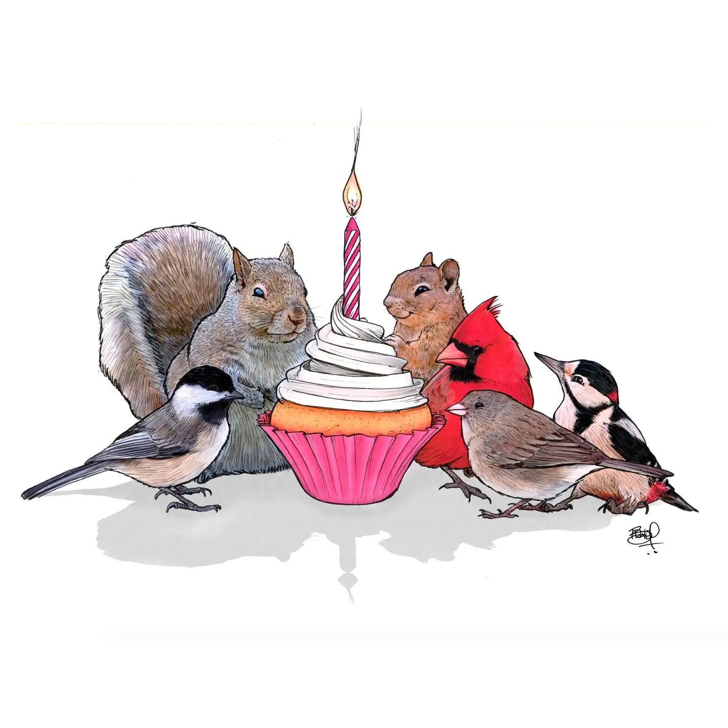 Shawn Braley Card Collection