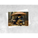 bear under a mushroom umbrella greeting card