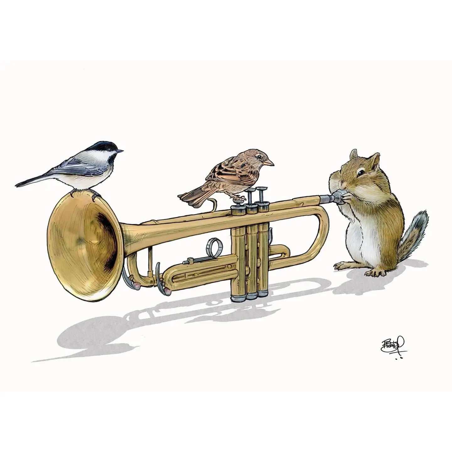 Shawn Braley Card Collection