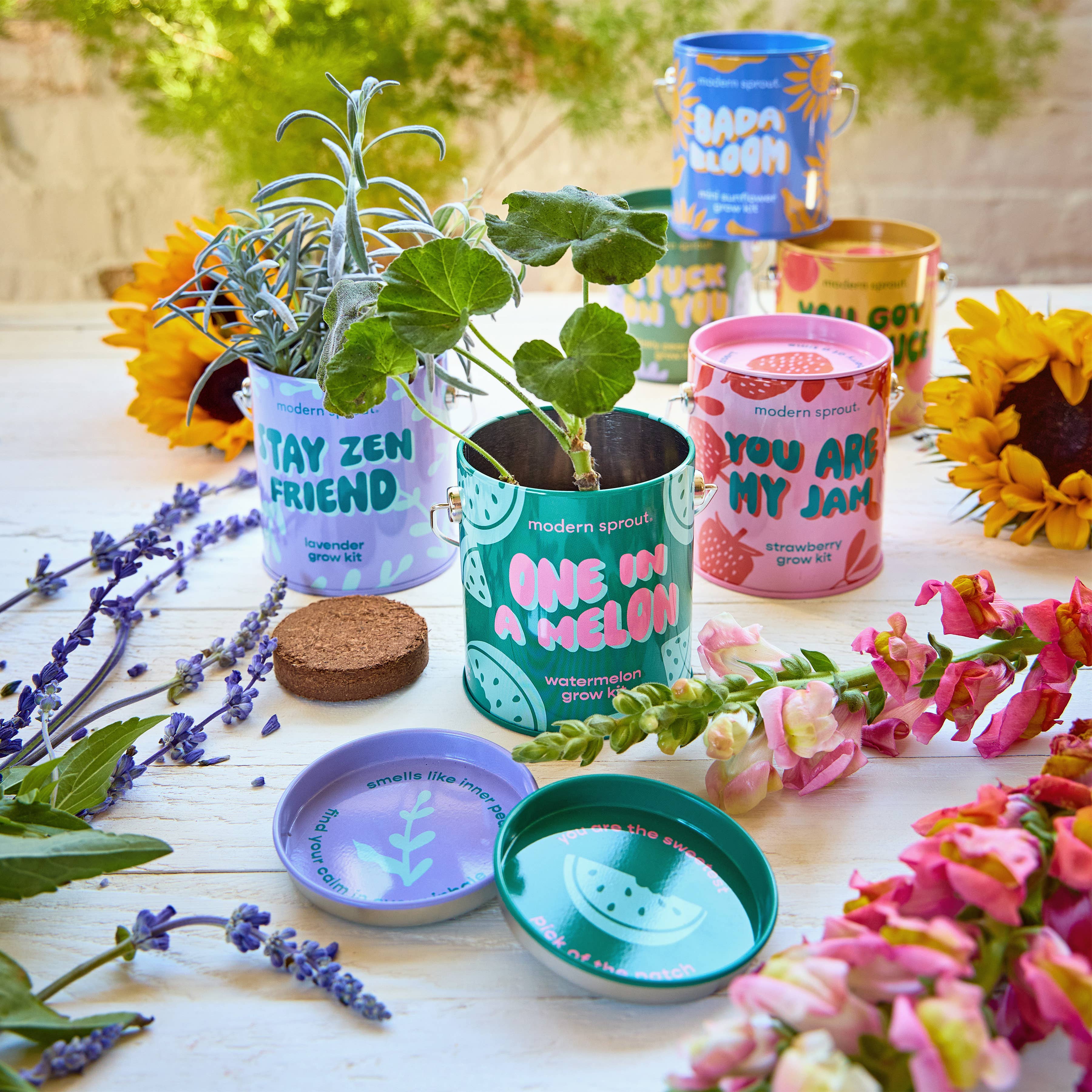 A variety of grow kits by Modern Sprout including watermelon, strawberry, and other colorful planters arranged on a table with flowers, showcasing the Complimentary Color Grow Kits collection.