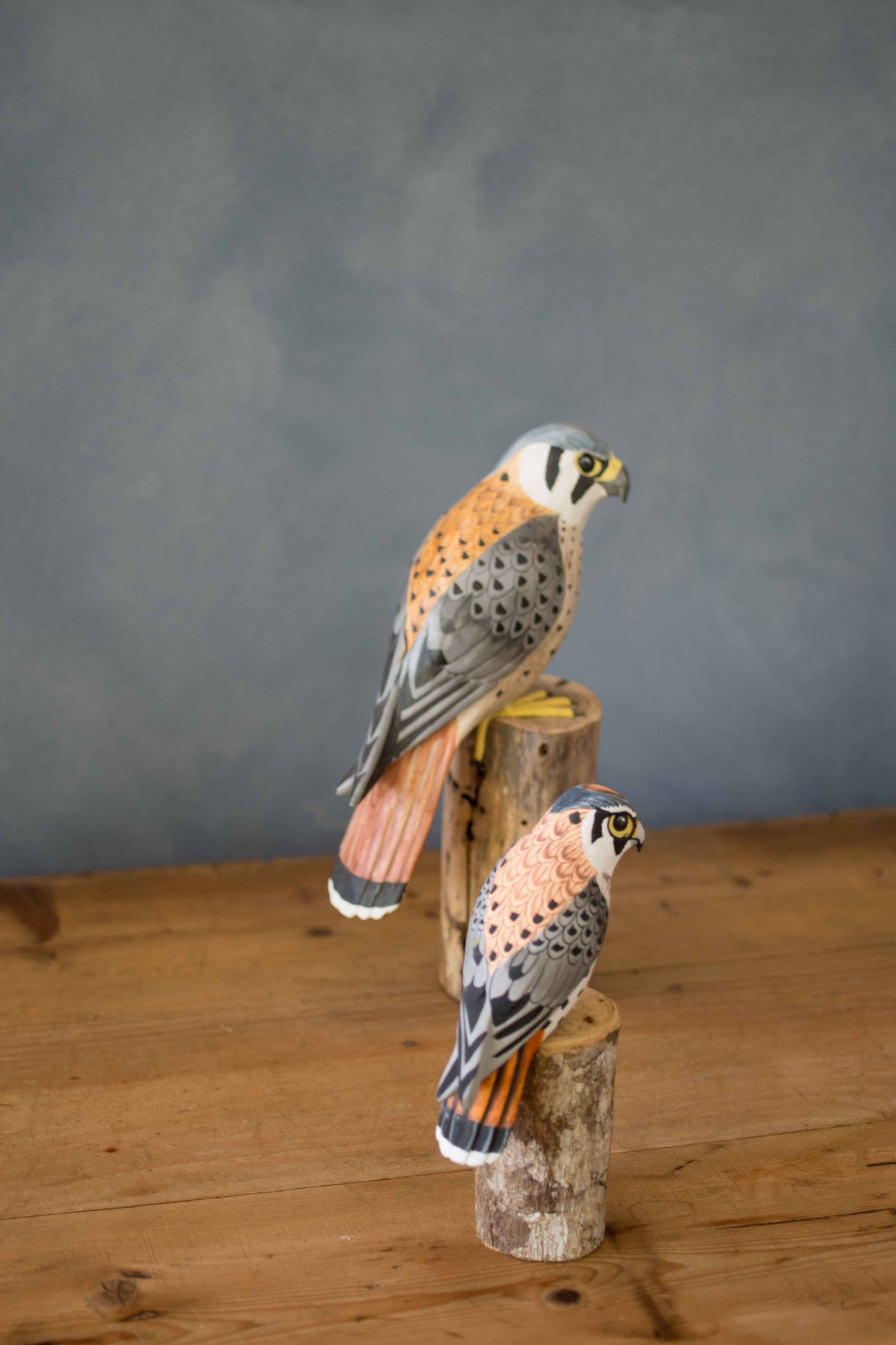 Mini Kestrel