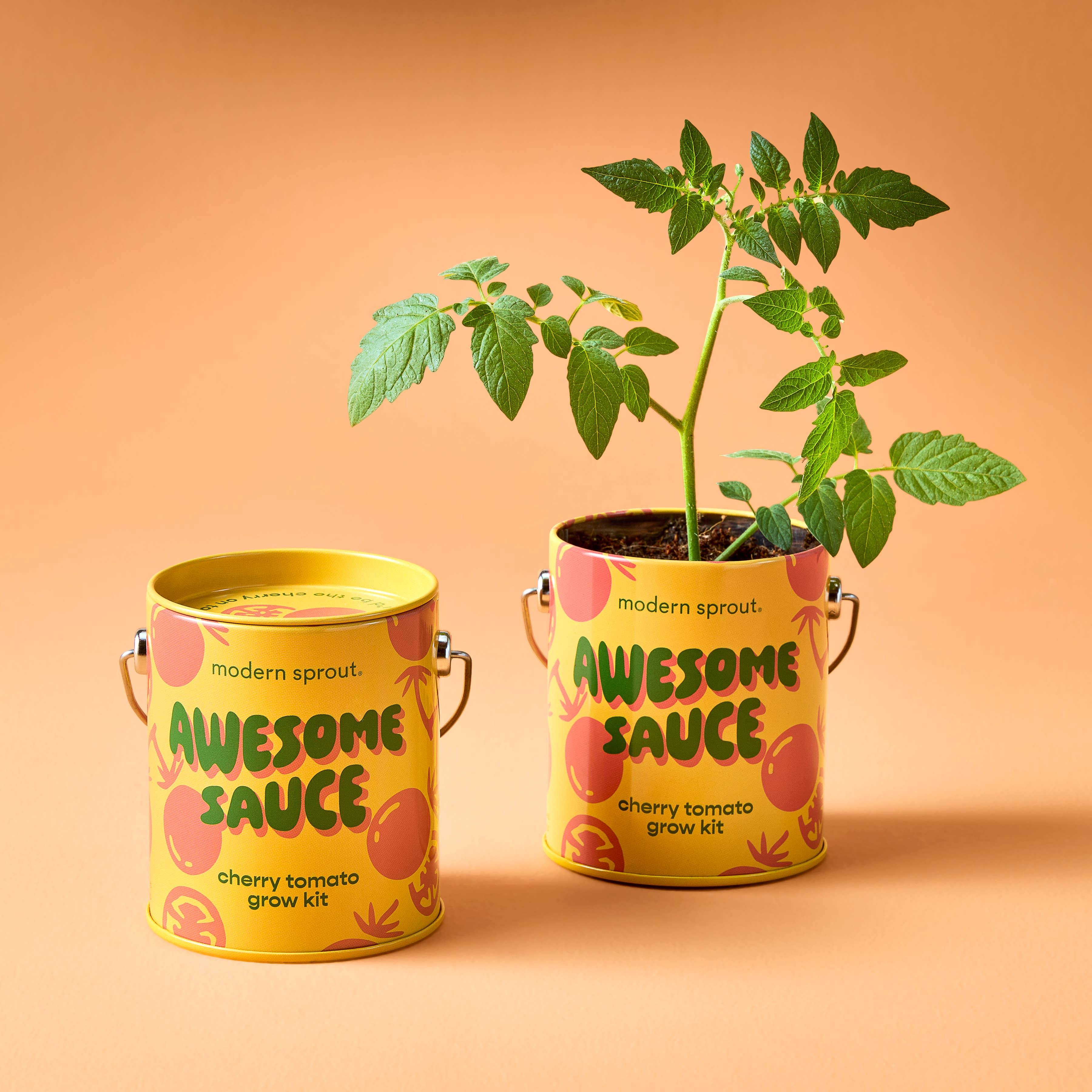 Cherry Tomato grow kit from Modern Sprout showcasing a small plant in a bright yellow canister labeled 'Awesome Sauce', part of the complimentary color grow kits collection.