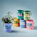 Colorful half-pint paint planters from Modern Sprout featuring various grow kits including Strawberry, Cherry Tomato, Mini Sunflower, Baby Watermelon, Lavender, and Prickly Pear Cactus, highlighting the Complimentary Color Grow Kits.