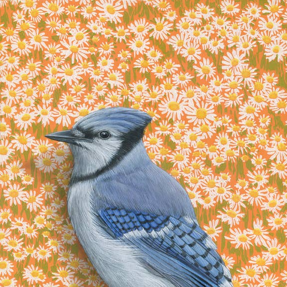 Close-up of Bluejay fine art print by Emily Uchytil, showcasing a detailed rendering of a blue jay bird surrounded by cheerful daisies.