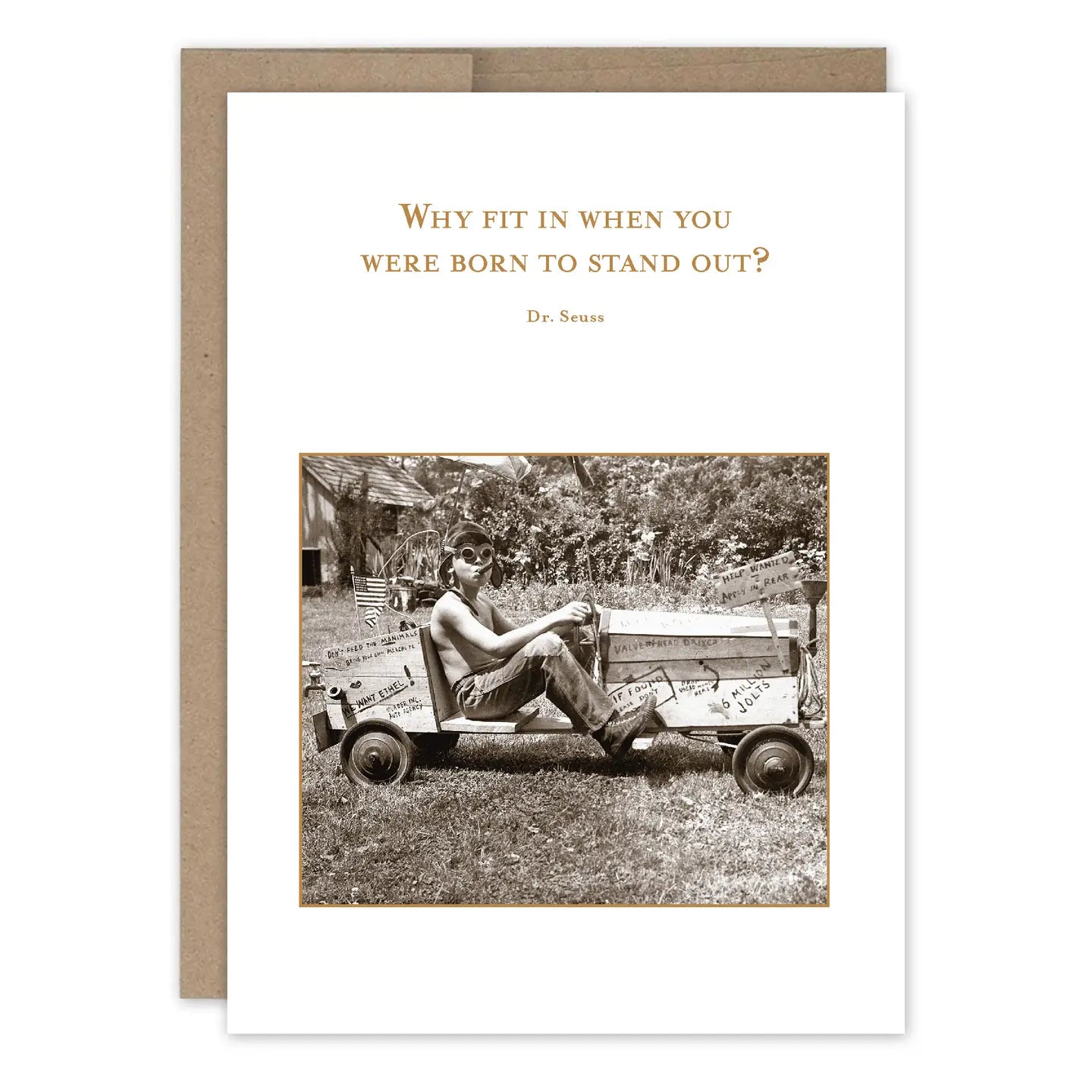Shannon Martin Birthday Card Collection