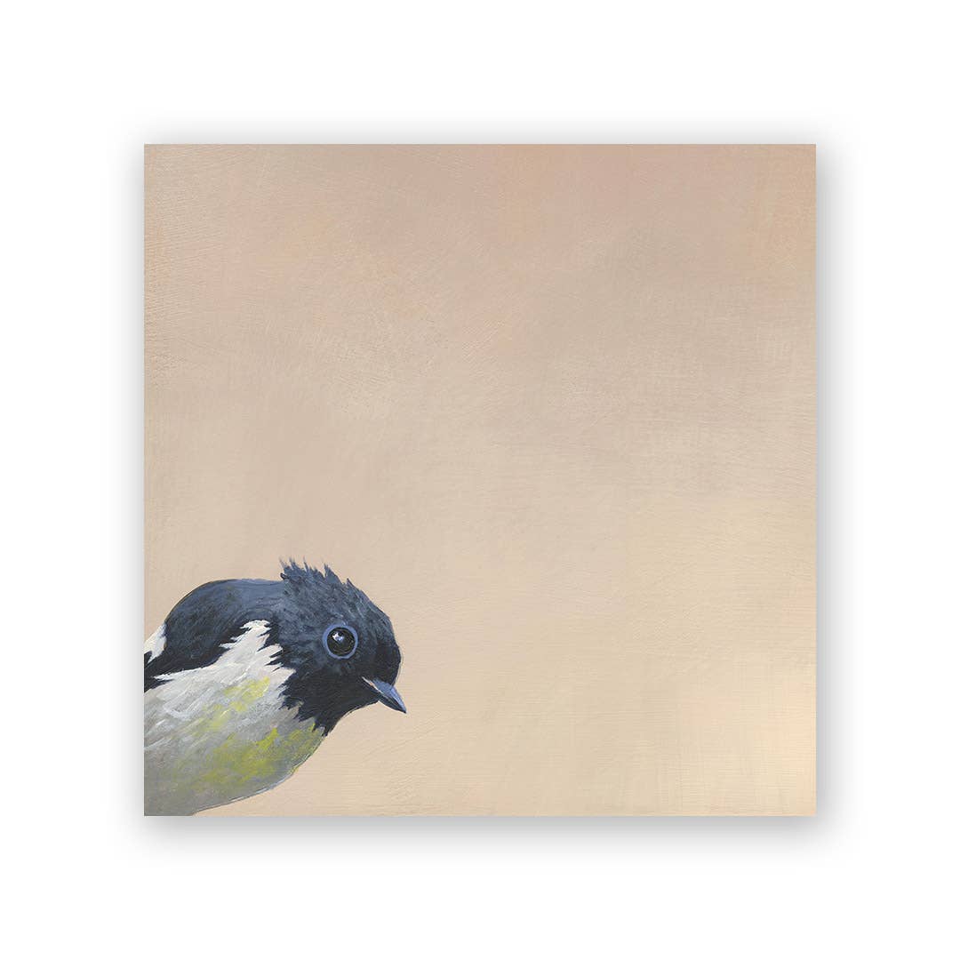 South Island Robin Wood Wall Art Decor