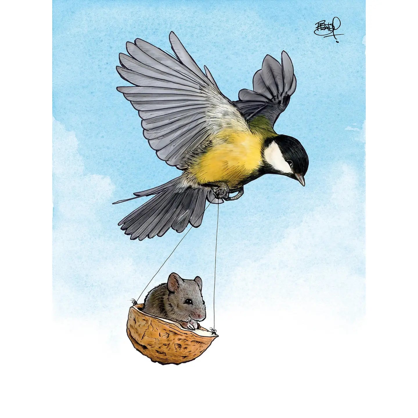 Shawn Braley Card Collection