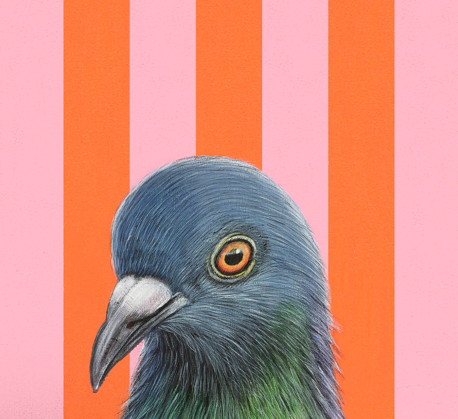 Pigeon Fine Art Print - Delightful bird art boasting retro flair, the ideal gift for anyone who loves a good chuckle!