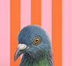 Pigeon Fine Art Print - Delightful bird art boasting retro flair, the ideal gift for anyone who loves a good chuckle!