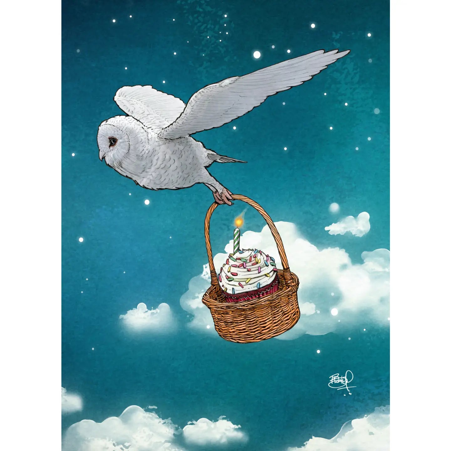 Shawn Braley Card Collection