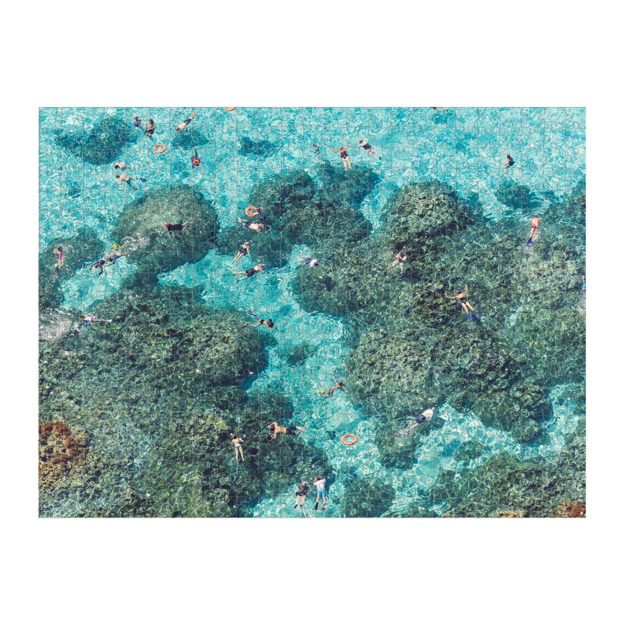 500 piece jig saw puzzle snorkeling