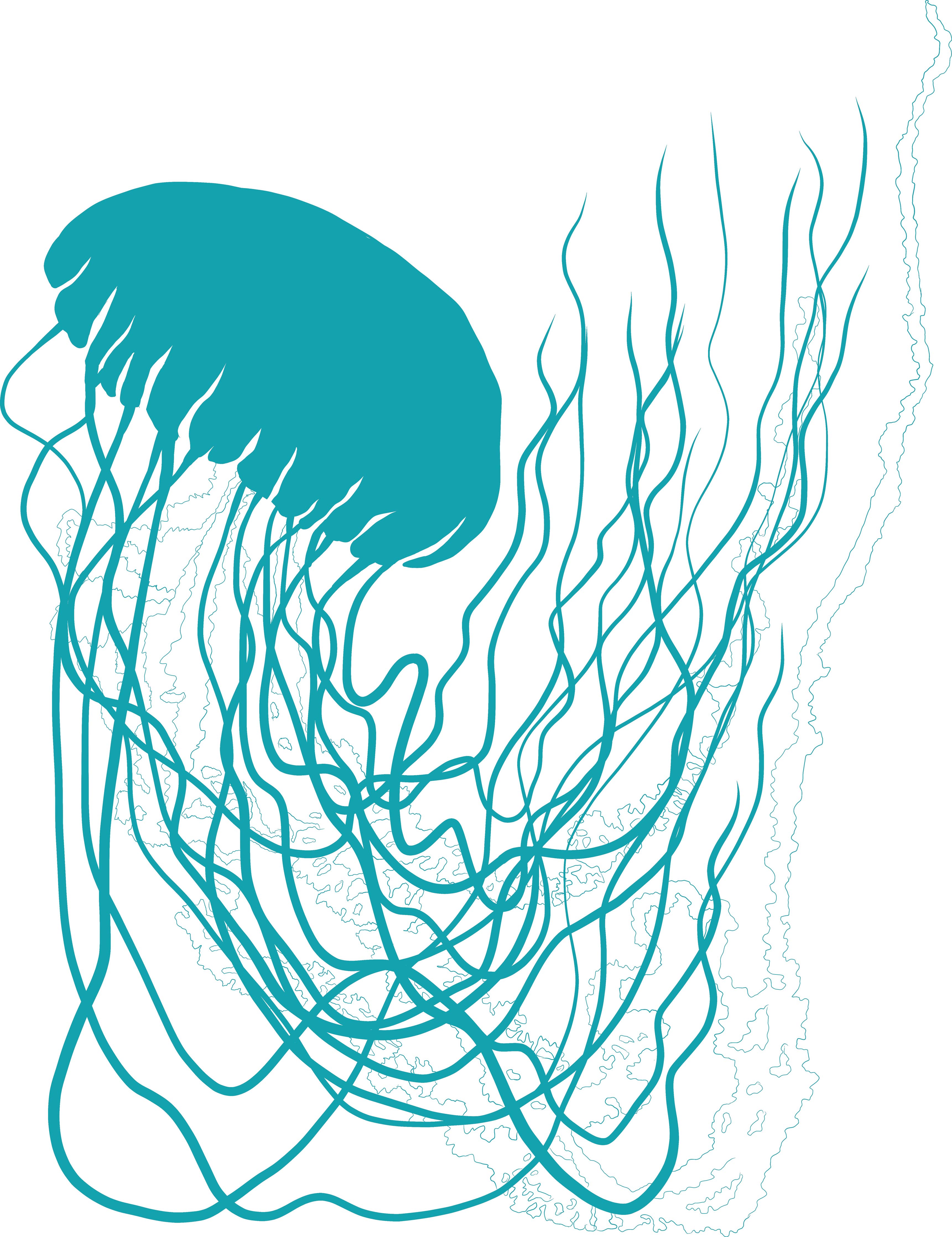 blue jellyfish tea towel