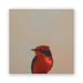 Vermilion Flycatcher Wood Wall Art Decor featuring a vibrant reproduction of bird paintings on sustainable birch wood, part of The Mincing Mockingbird's collection.