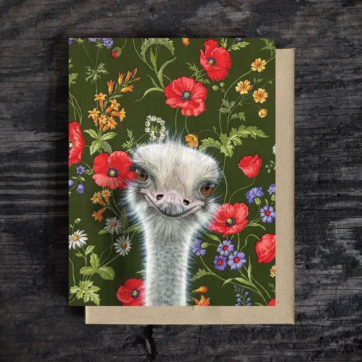 Emily Uchytil Card Collection