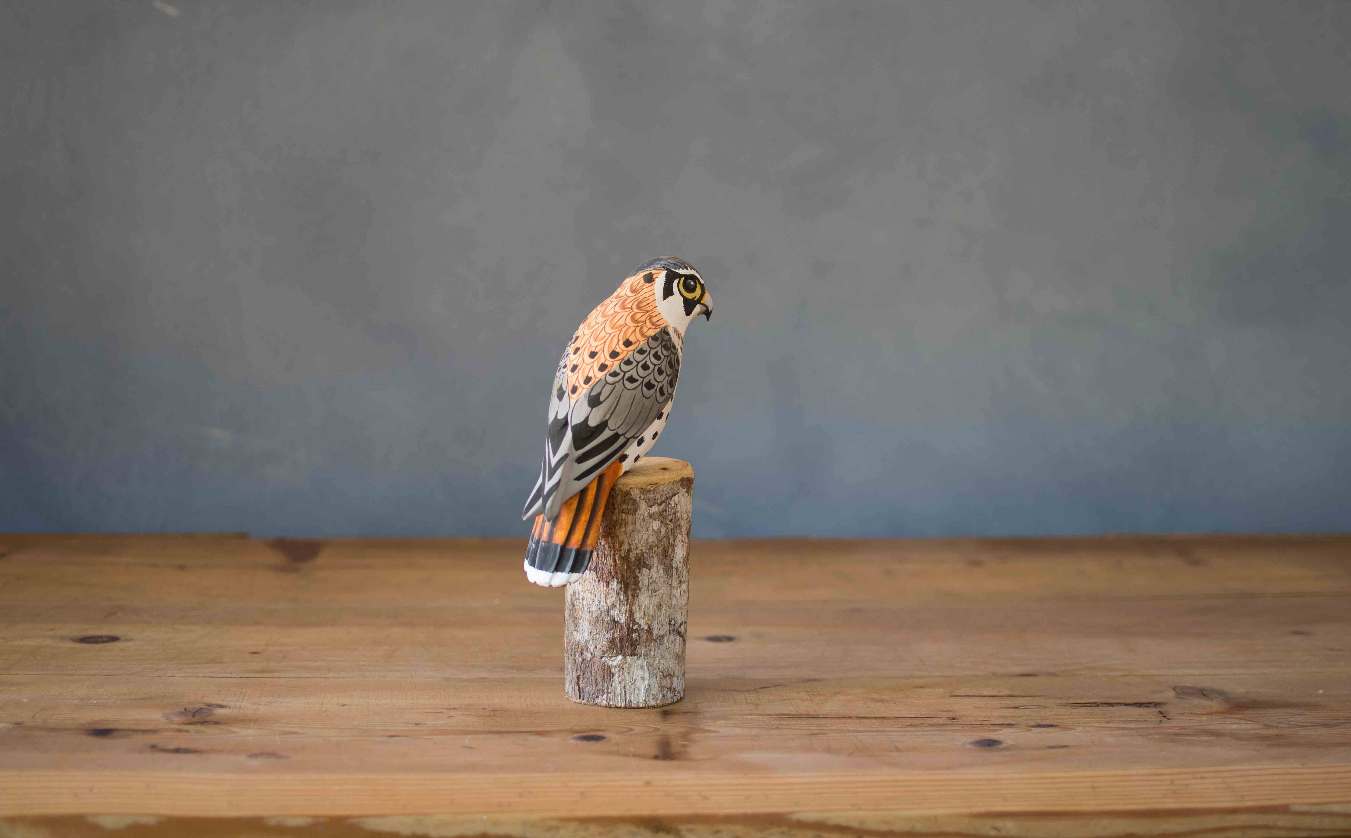 Mini Kestrel