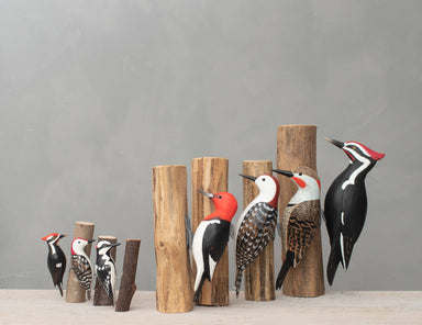 An array of beautifully crafted wooden woodpeckers by Aviologie, featuring different designs and colors, symbolizing nature's beauty.