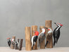 An array of beautifully crafted wooden woodpeckers by Aviologie, featuring different designs and colors, symbolizing nature's beauty.