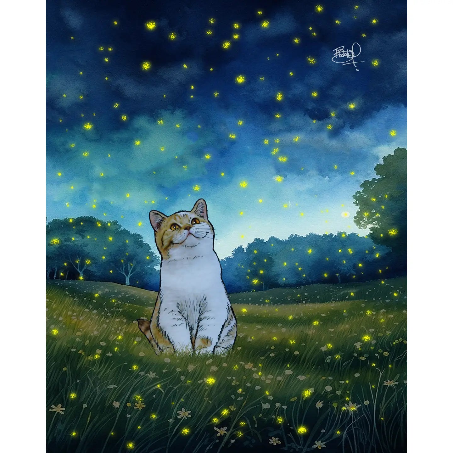 Shawn Braley Card Collection