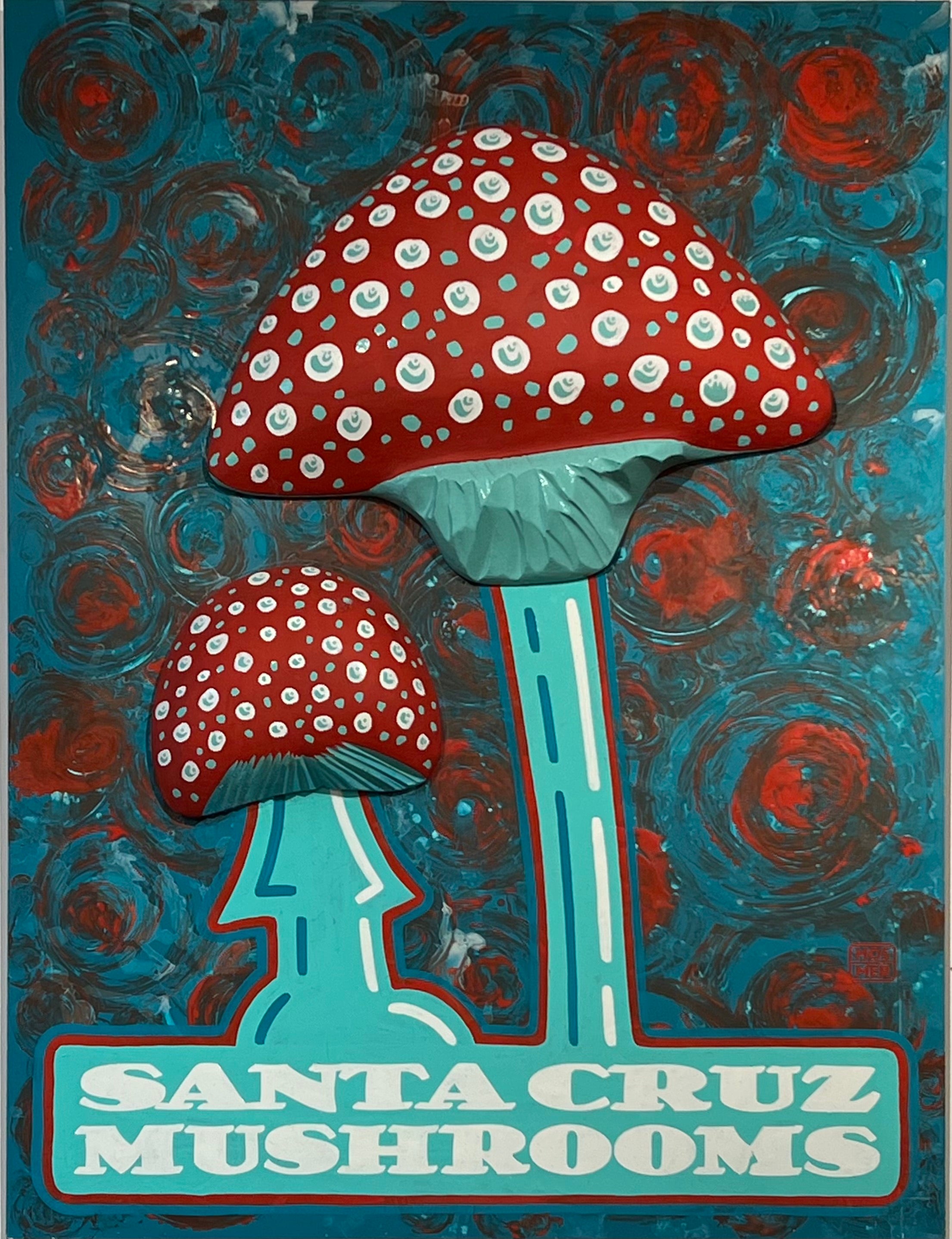 Santa Cruz Mushrooms Blue & Red