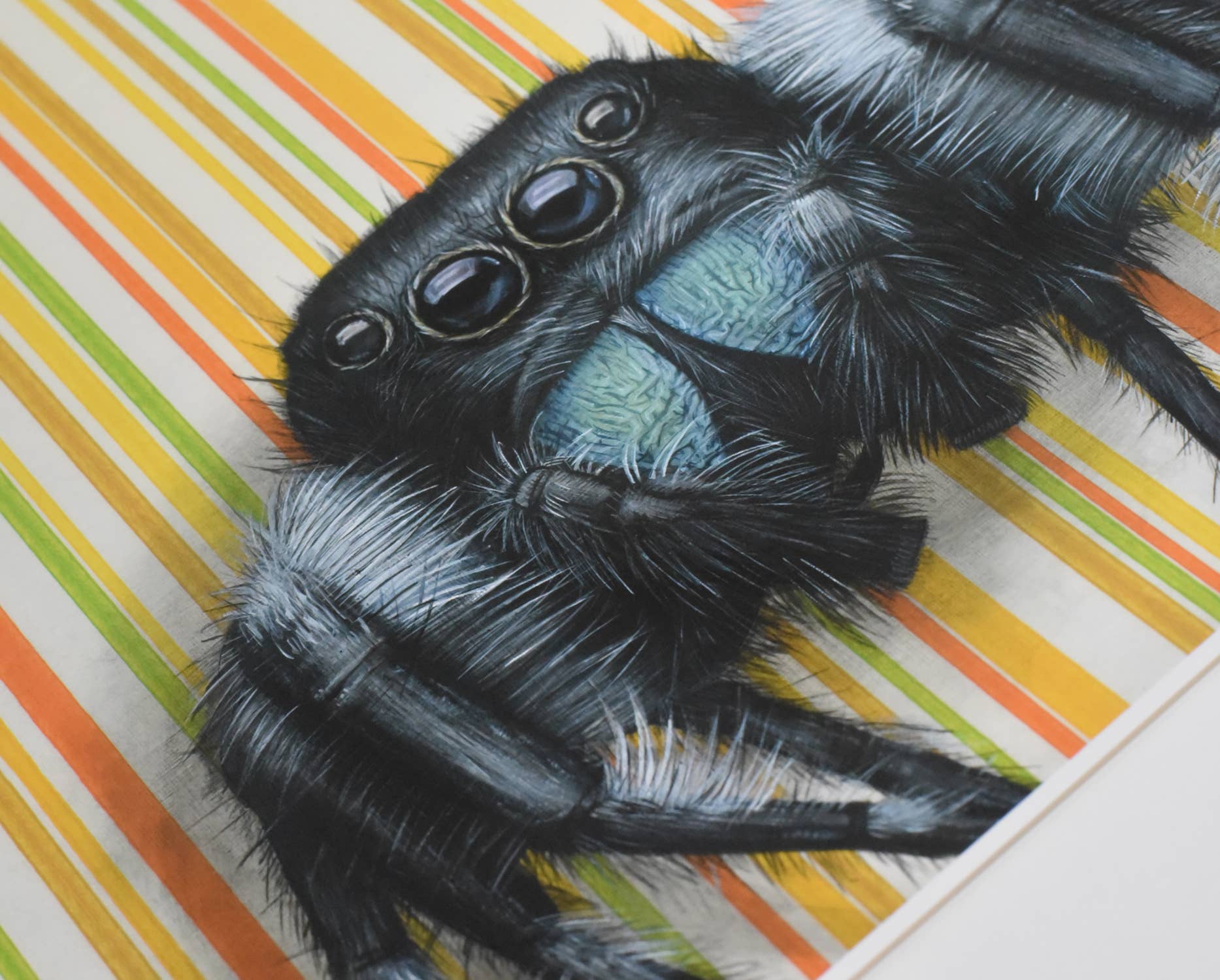 Jumping Spider - Fine Art Print brings a charmingly creepy insect illustration to life, perfect for any insect enthusiast.