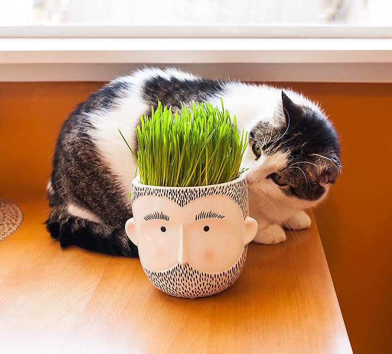 Bearded Man Planter-6.5"H-653