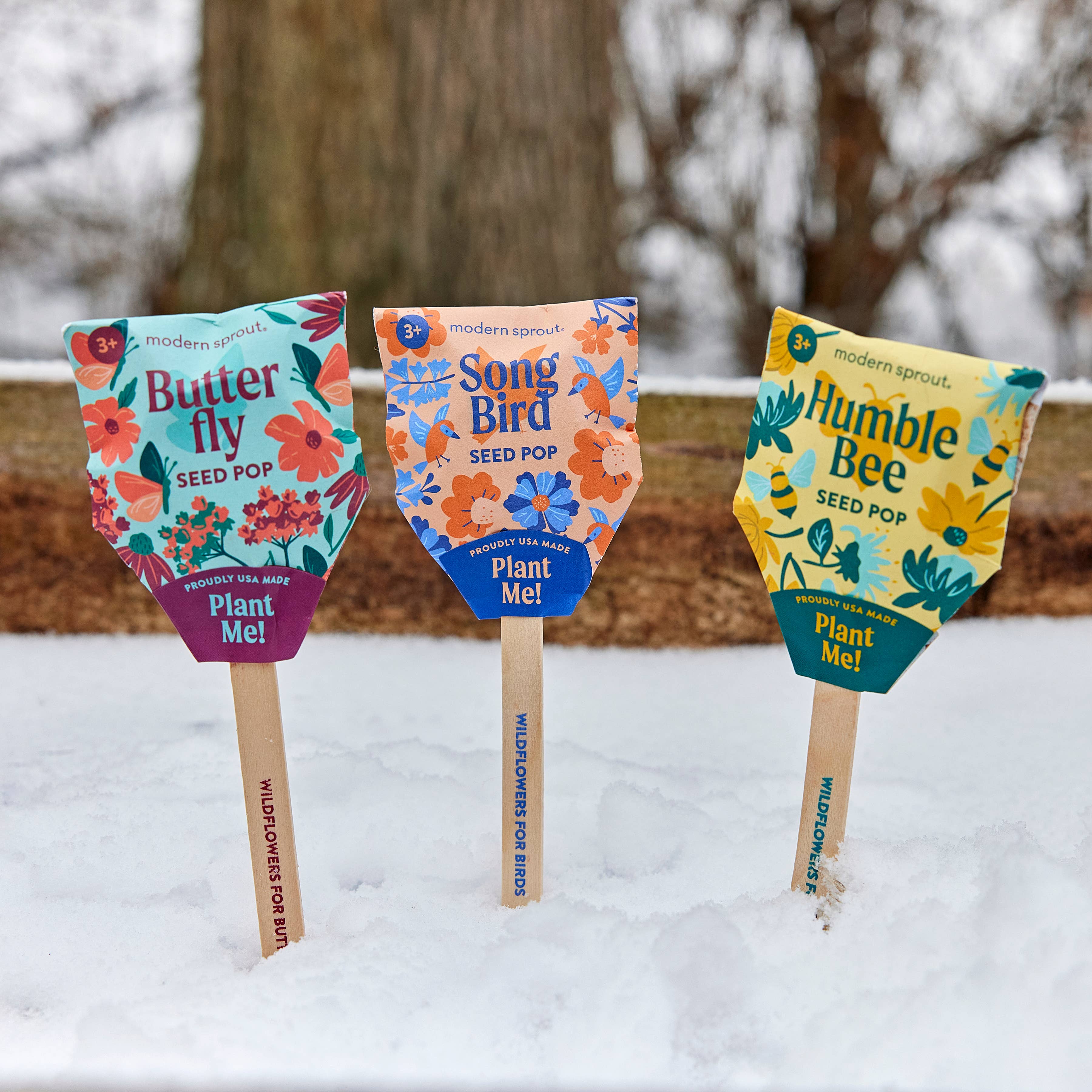 Three seed pops—Butterfly, Song Bird, and Humble Bee—from Modern Sprout nestled in the snow, highlighting unique designs for a pollinator garden.
